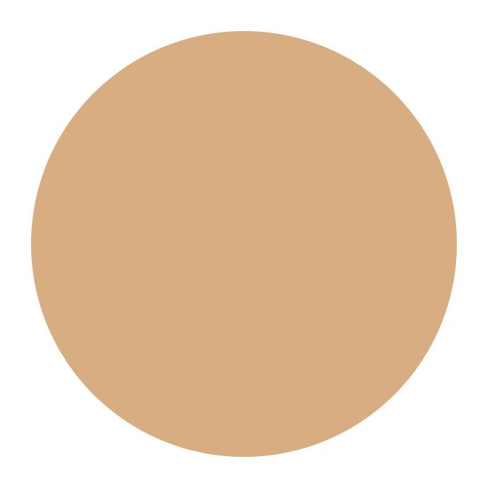 Estee Lauder Double Wear - Maximum Cover Camouflage SPF 15 30ML