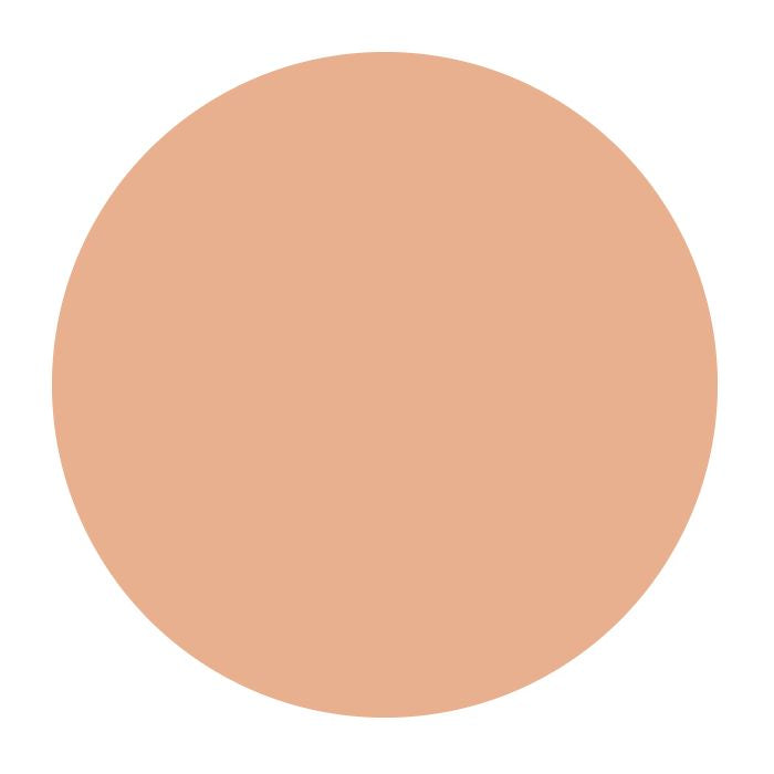 Estée Lauder Pure Color Envy Sculpting Blush